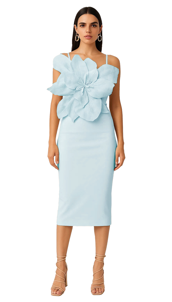Florista Bodycon Dress